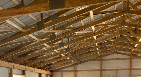 Preventative Roof Care